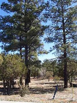 2nd image of 1029 S Fox Hunt