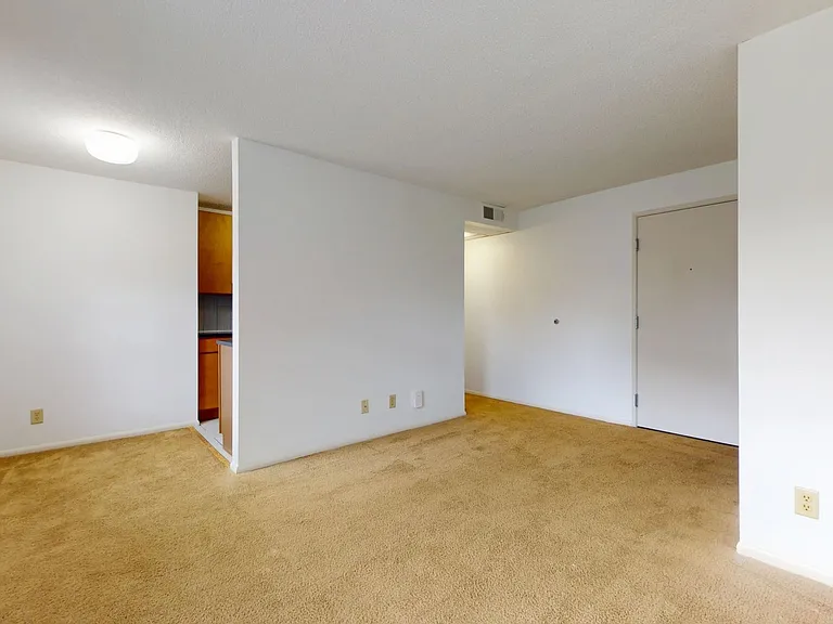 Dining/Living room