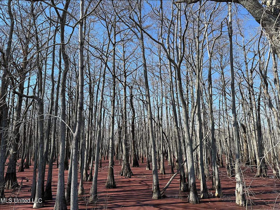 1st image of County Road 526