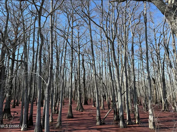 County Road 526, Minter City, MS 38944