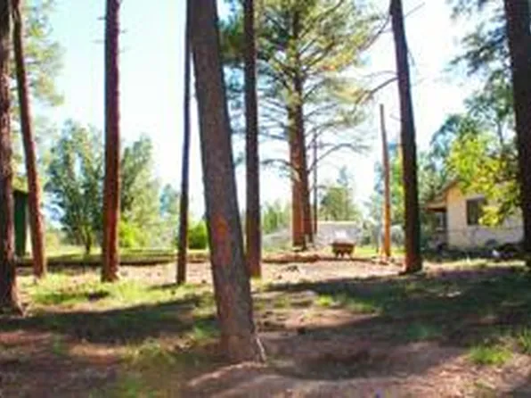 2525 Gold Dust Trl, Show Low, AZ 85901