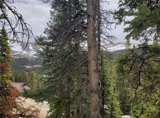 331 Kimmes Ln, Breckenridge, CO 80424