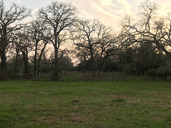 Back Porch View