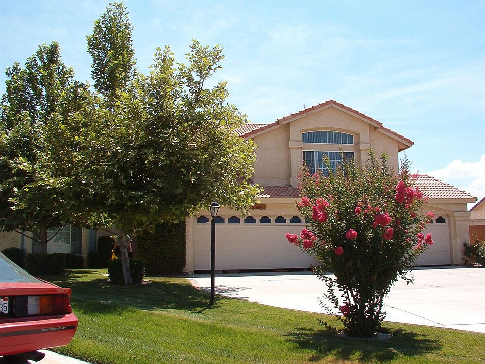Front View