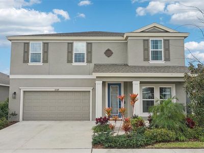 6169 Golden Nettle Dr, Apollo Beach, FL, 33572