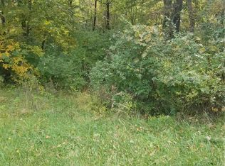 112 Murdoch Ct, Augusta, MO 63332