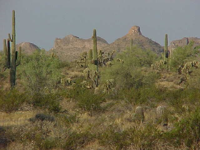 view to the south-west