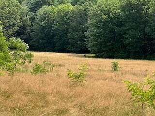 2nd image of Lot 14 Merriland Ridge Road
