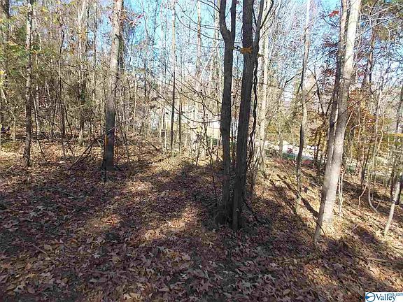 3rd image of 601 Elk River Shores Dr