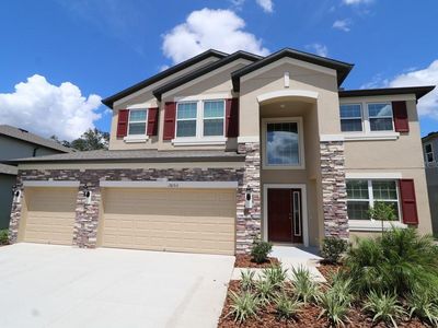 18153 Porfirio Pl, Spring Hill, FL, 34610