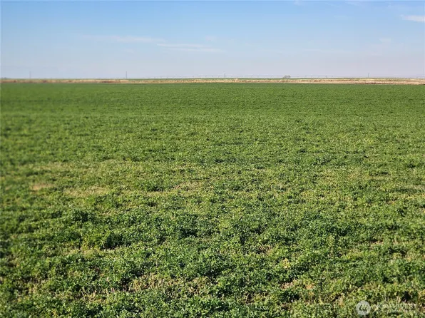 0 NW Corner of Rd 8 NW & E NW, Ephrata, WA 98823