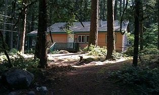Cabin in the Woods