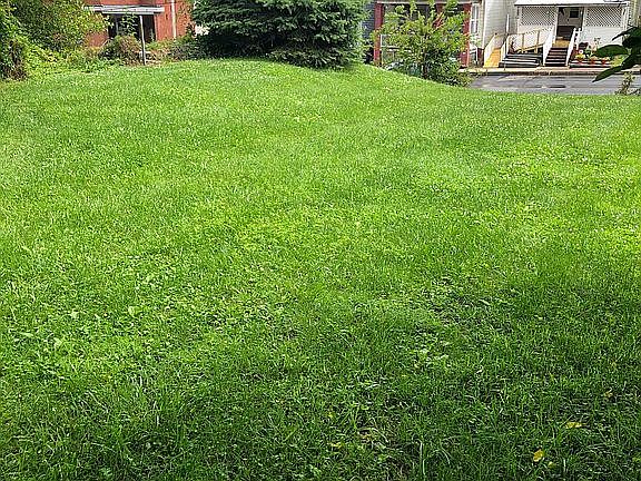 5th image of 243 Ann St