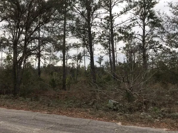 785 Dorcas Rd, Marianna, FL 32448