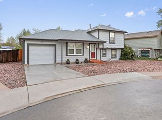 1040 Rochester Ct, Windsor, CO 80550