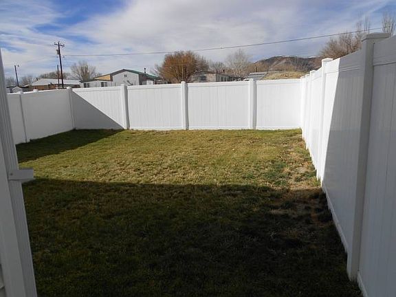 back yard 1