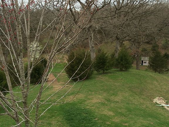 back yard