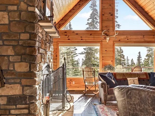 103 Prunes Pl, Fairplay, CO 80440