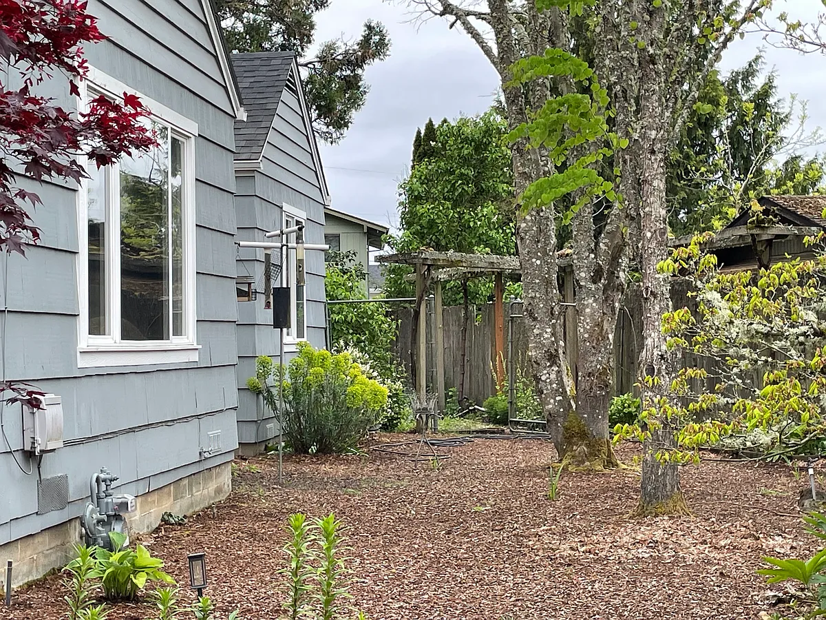 Side yard with bird feeders and grape arbor - 1220 Clinton Dr