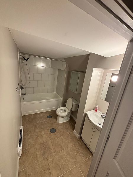 Winnipeg Apartment for rent - 1 Bedroom — photo 18