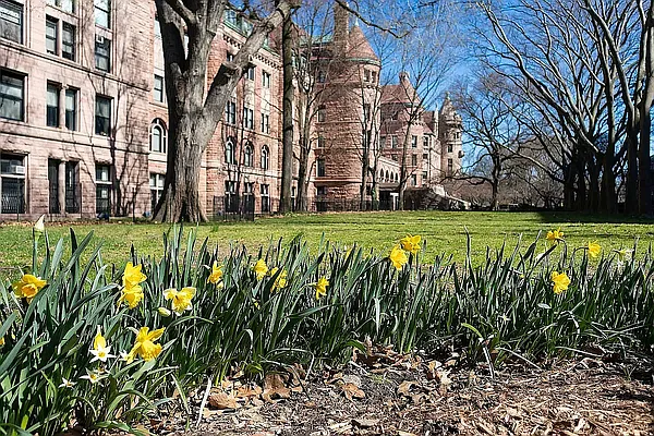 Rented by Vector New York, LLC | media 6