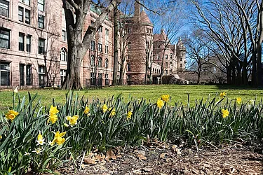 Rented by Vector New York, LLC