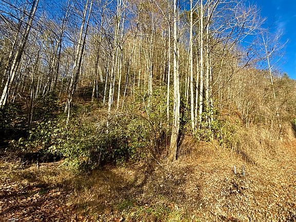 5th image of 4/AC Big Creek Rd
