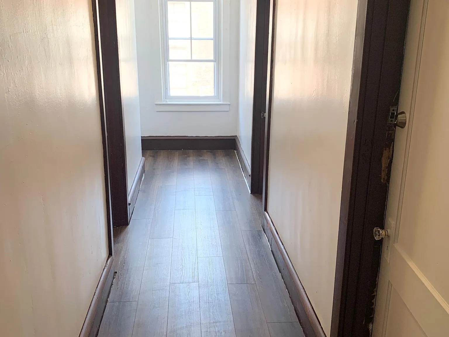 1 bed, 160 sqft, $595 — Photo 4