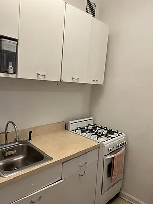 Rented by Manhattan Flats | media 18