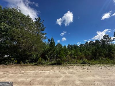 0 Hacklebarney Ln, Blackshear, GA, 31516