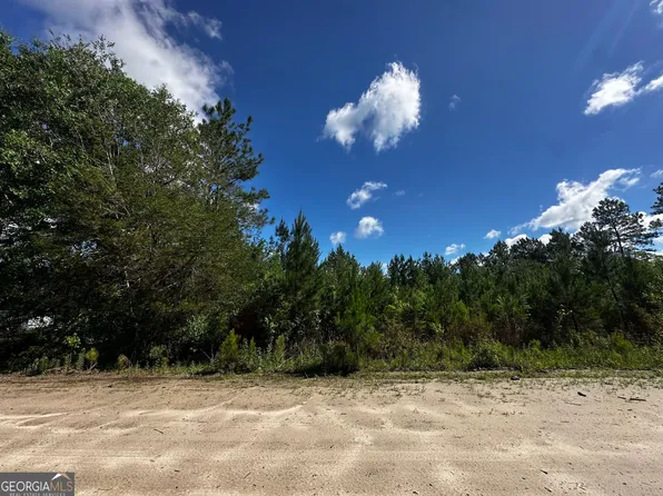 0 Hacklebarney Ln, Blackshear, GA 31516