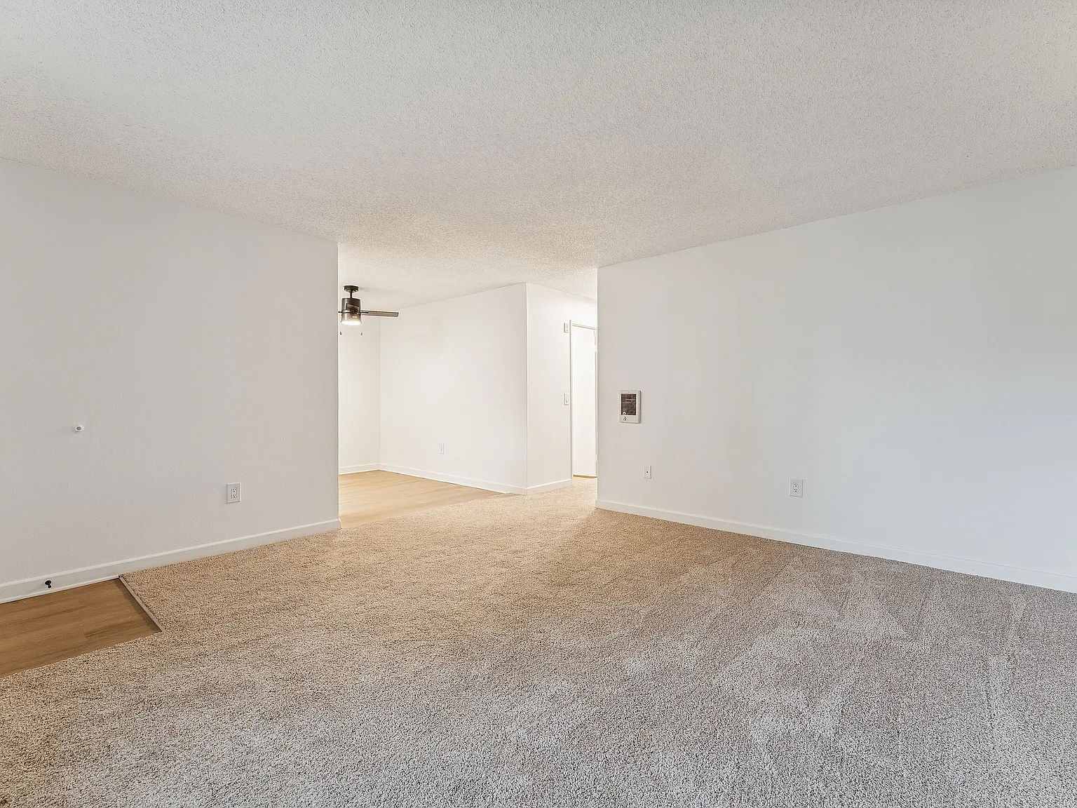 ReNew Alpine — Photo 3