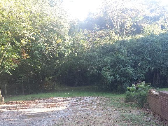View of downstairs apartment backyard