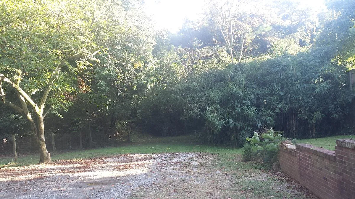 View of downstairs apartment backyard - 2811 Spring Garden St #C