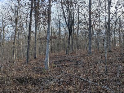 000 County Road 6285, Jadwin, MO, 65501