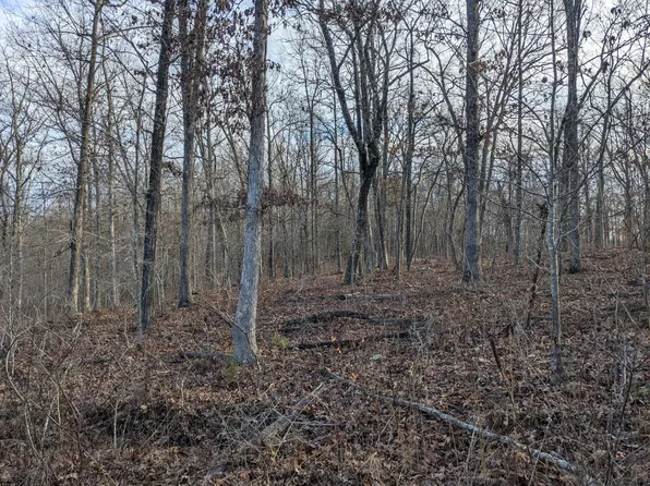 000 County Road 6285, Jadwin, MO 65501