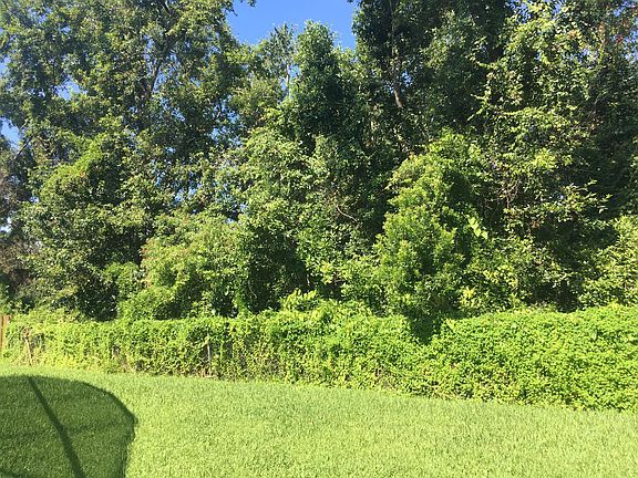 Center back yard