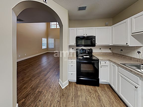 4th image of 18101 Birdwater Dr