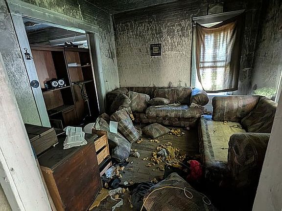 3rd image of 858 E 143rd St