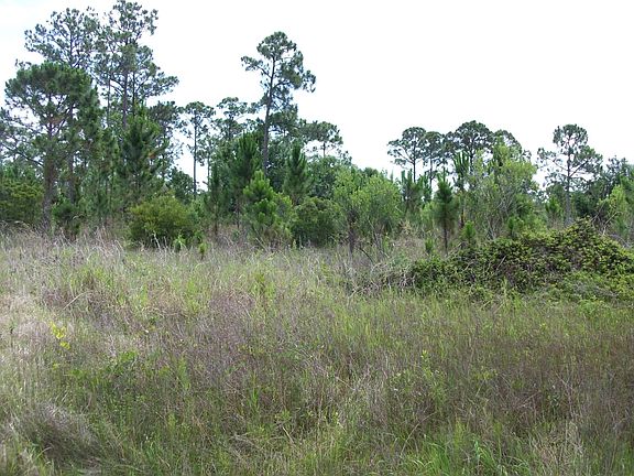 2nd image of Tbd 81st Street