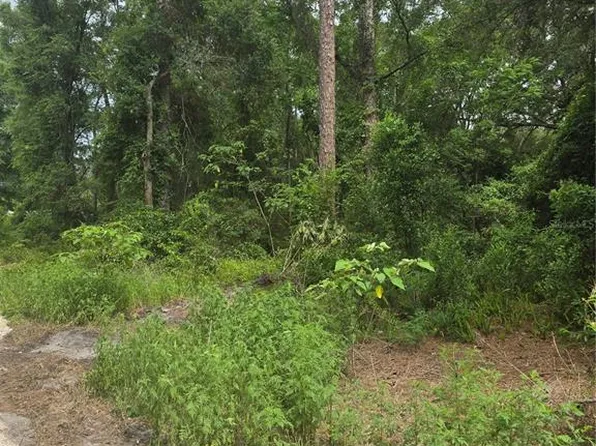 1650 SE 178th Ln Lot 5, Summerfield, FL 34491