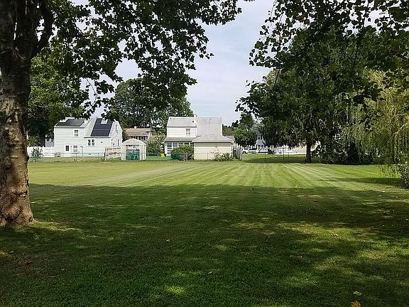 back yard 2
