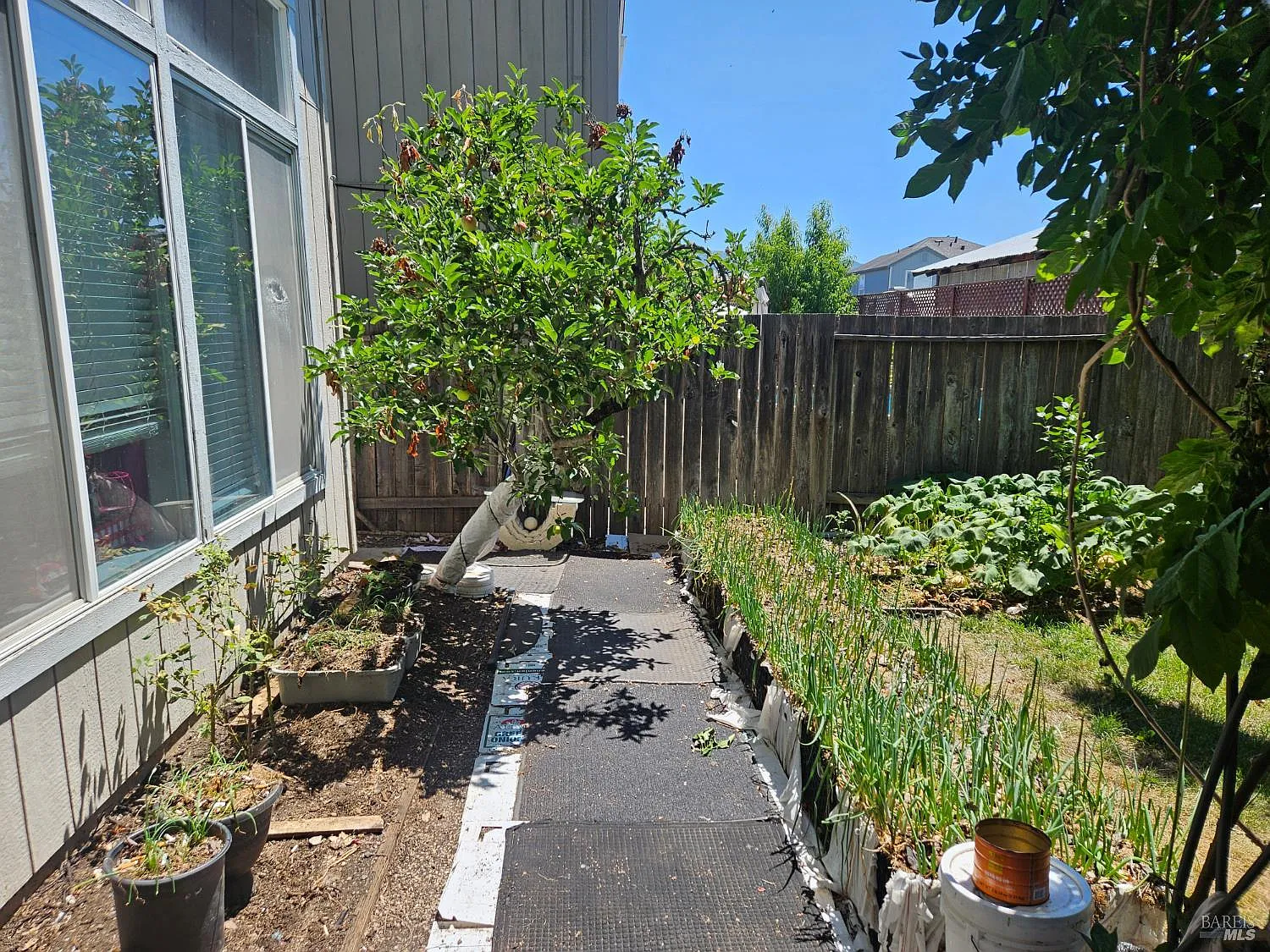 3258 Boron Avenue - Photo 7