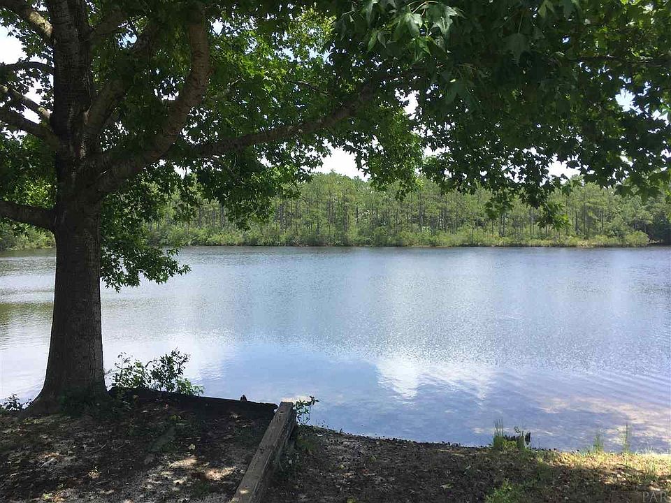 1st image of 12382 Ailanthus Dr