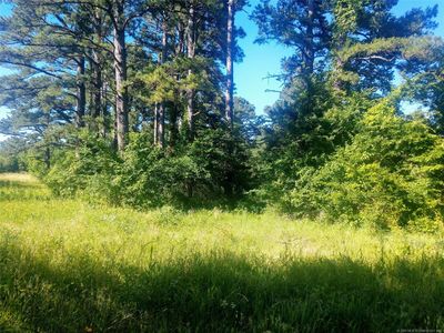 Aslin Prairie Rd, Talihina, OK, 74571