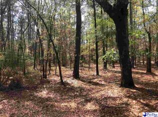 0 Cartwheel Rd, Mullins, SC 29574