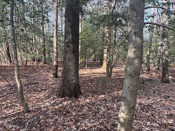 3rd image of LOT 5 Meyers Dr