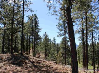 74 Crocus Ct, Durango, CO 81301