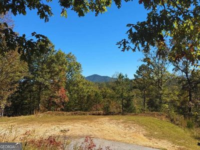 1 Brasstown Trl, Warne, NC, 28909