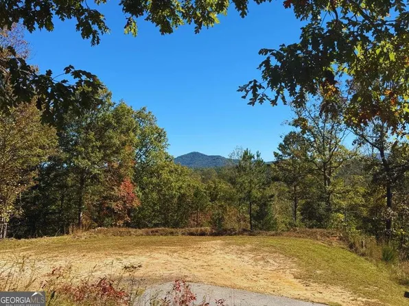 1 Brasstown Trl, Warne, NC 28909